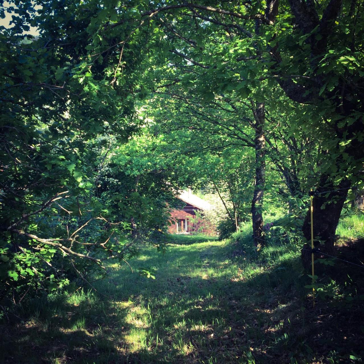 Silver Trees - Glamping Fresse-sur-Moselle Eksteriør bilde